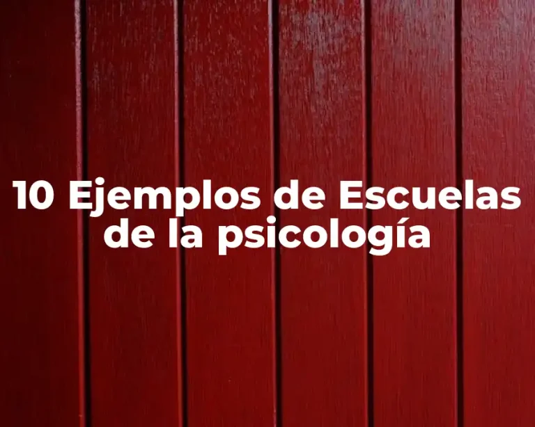 10 Ejemplos de Escuelas de la psicología