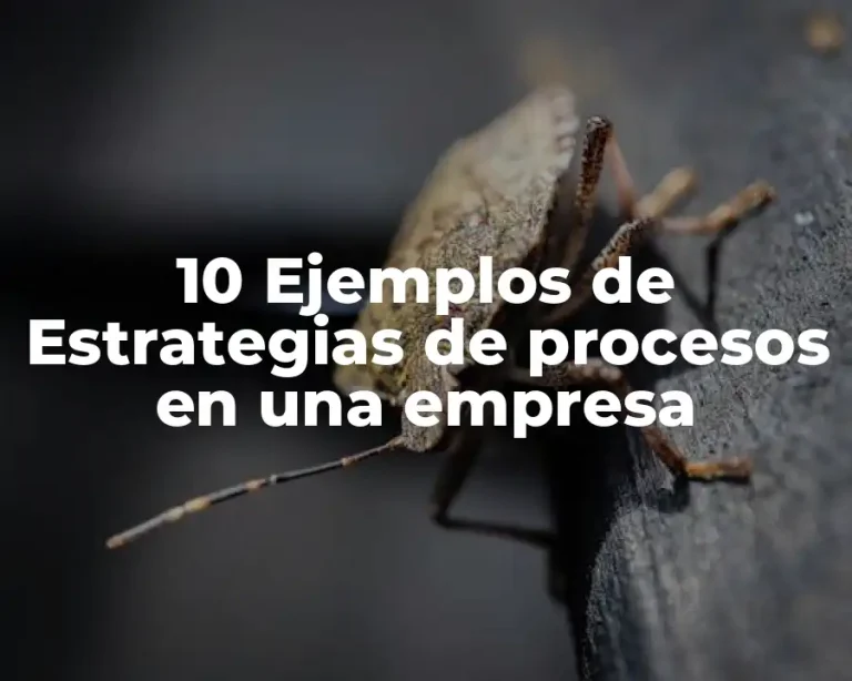 10 Ejemplos de Estrategias de procesos en una empresa