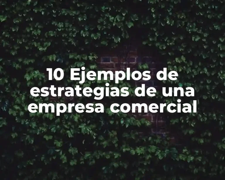 10 Ejemplos de estrategias de una empresa comercial