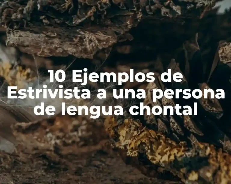10 Ejemplos de Estrivista a una persona de lengua chontal