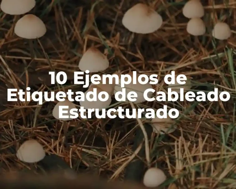 10 Ejemplos de Etiquetado de Cableado Estructurado