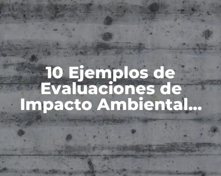 10 Ejemplos de Evaluaciones de Impacto Ambiental Sustentable de una Empresa