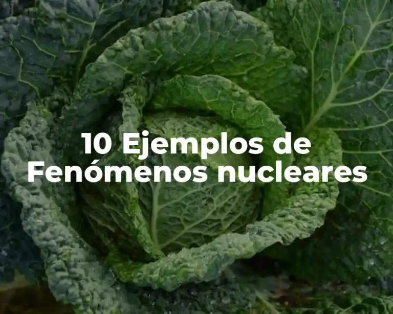 10 Ejemplos de Fenómenos nucleares