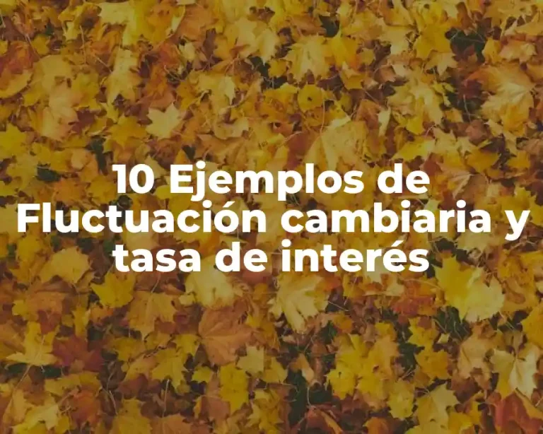 10 Ejemplos de Fluctuación cambiaria y tasa de interés