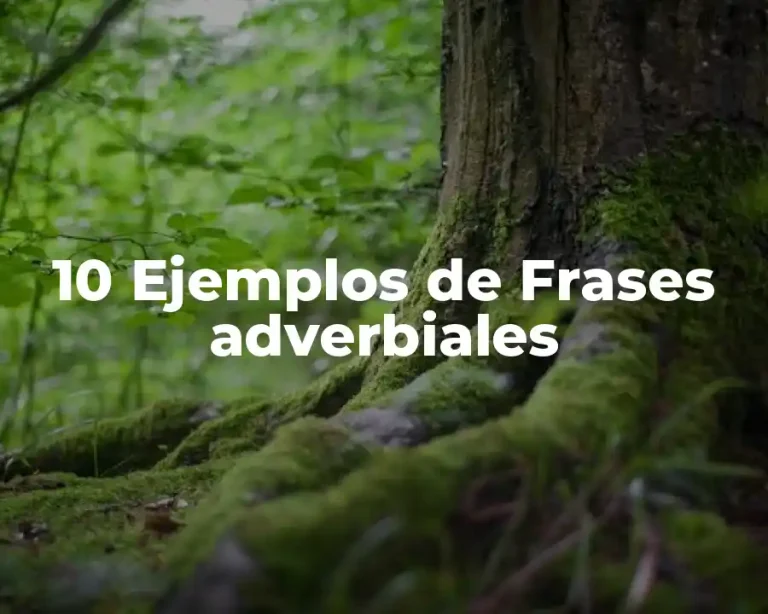 10 Ejemplos de Frases adverbiales