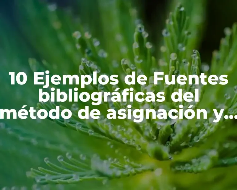 10 Ejemplos de Fuentes bibliográficas del método de asignación y transporte