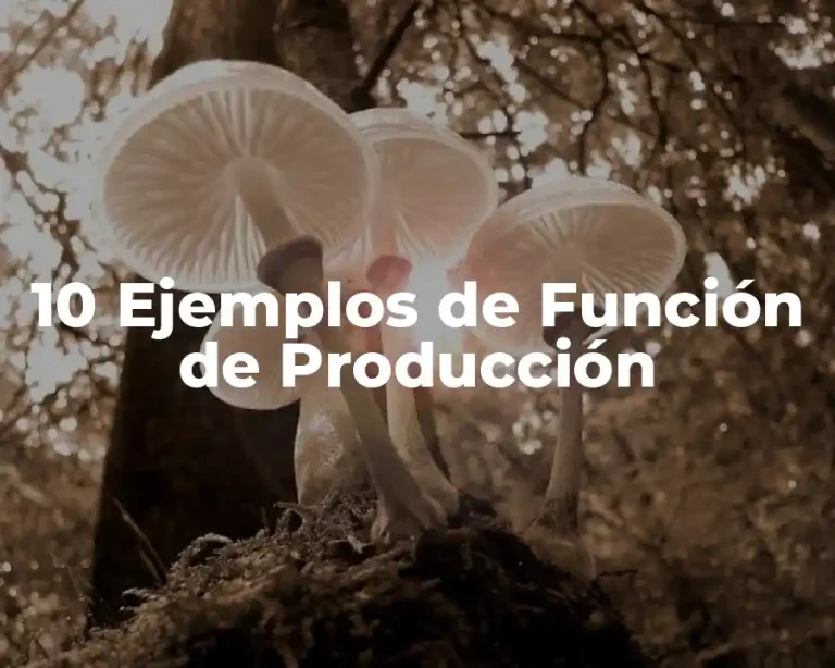 10 Ejemplos de Función de Producción
