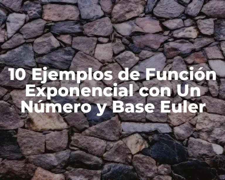 10 Ejemplos de Función Exponencial con Un Número y Base Euler