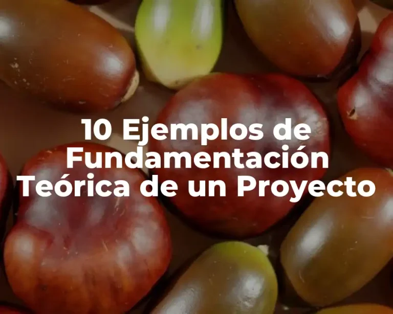 10 Ejemplos de Fundamentación Teórica de un Proyecto