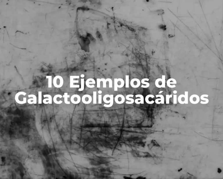 10 Ejemplos de Galactooligosacáridos