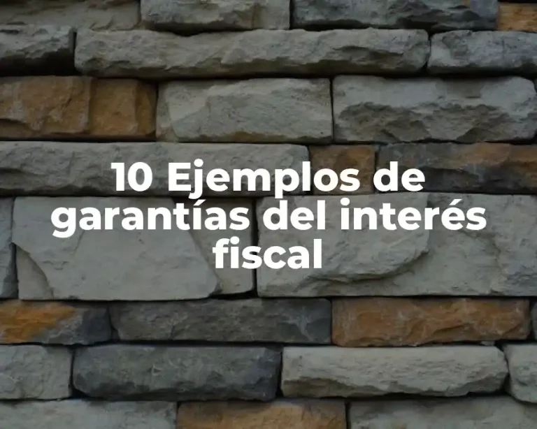 10 Ejemplos de garantías del interés fiscal