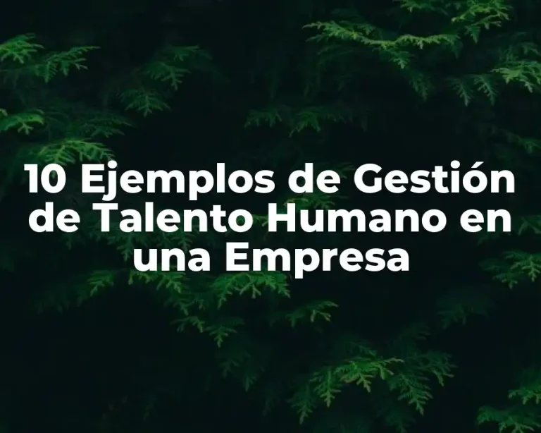 10 Ejemplos de Gestión de Talento Humano en una Empresa