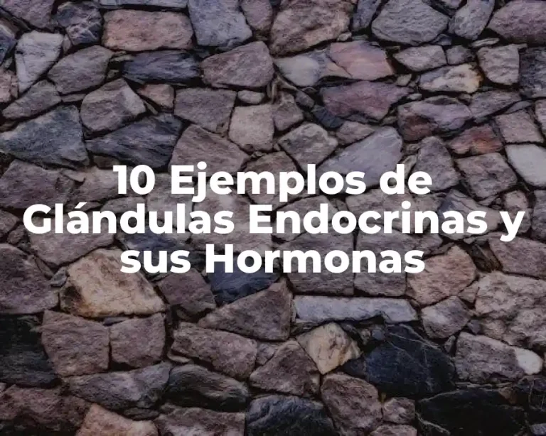 10 Ejemplos de Glándulas Endocrinas y sus Hormonas