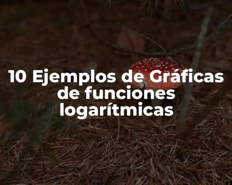 10 Ejemplos de Gráficas de funciones logarítmicas