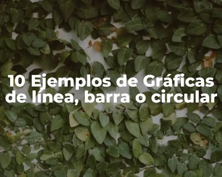 10 Ejemplos de Gráficas de línea, barra o circular