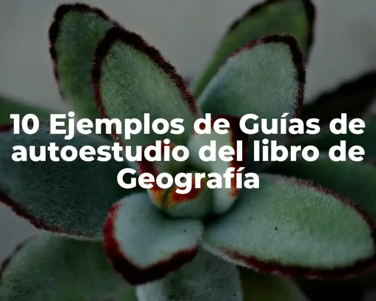10 Ejemplos de Guías de autoestudio del libro de Geografía
