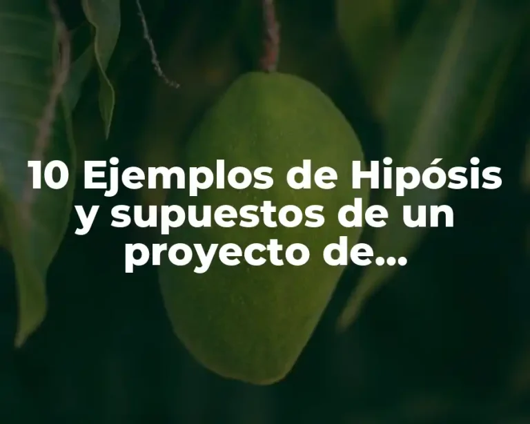 10 Ejemplos de Hipósis y supuestos de un proyecto de investigación