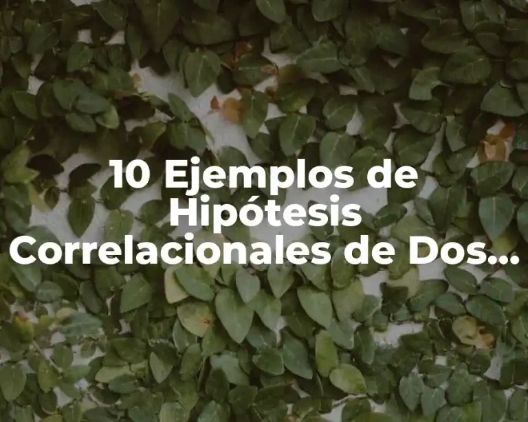 10 Ejemplos de Hipótesis Correlacionales de Dos o Más Variables
