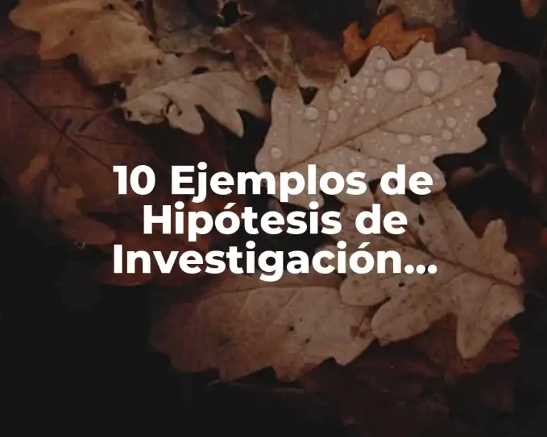 10 Ejemplos de Hipótesis de Investigación Explicativa