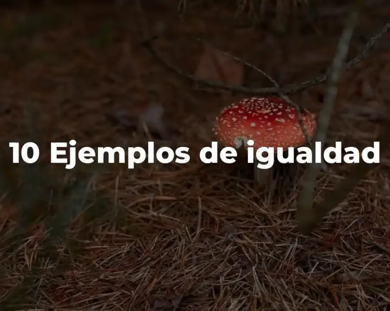 10 Ejemplos de igualdad