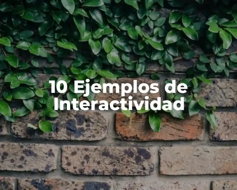 10 Ejemplos de Interactividad