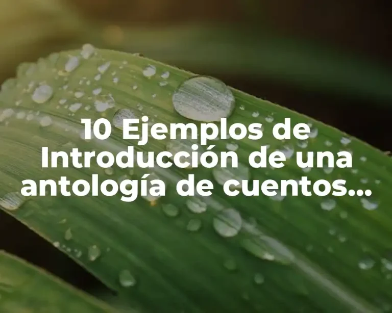 10 Ejemplos de Introducción de una antología de cuentos navideños