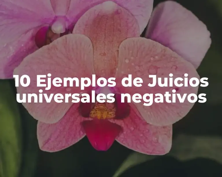 10 Ejemplos de Juicios universales negativos