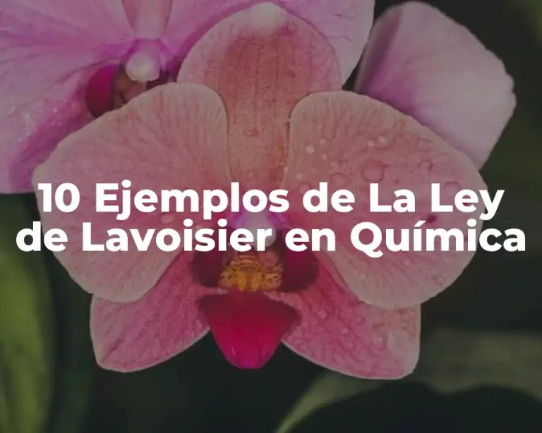 10 Ejemplos de La Ley de Lavoisier en Química