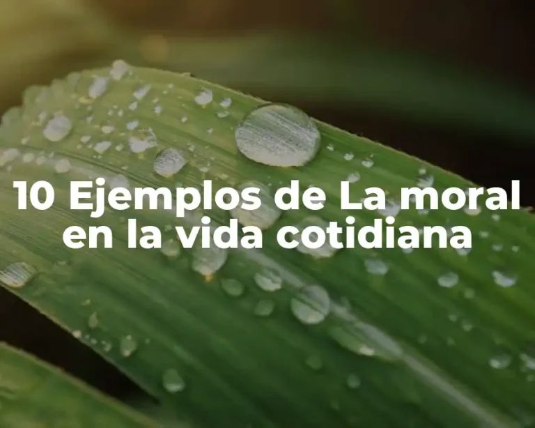 10 Ejemplos de La moral en la vida cotidiana