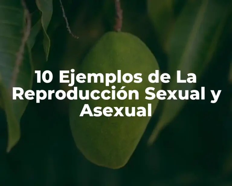 10 Ejemplos de La Reproducción Sexual y Asexual