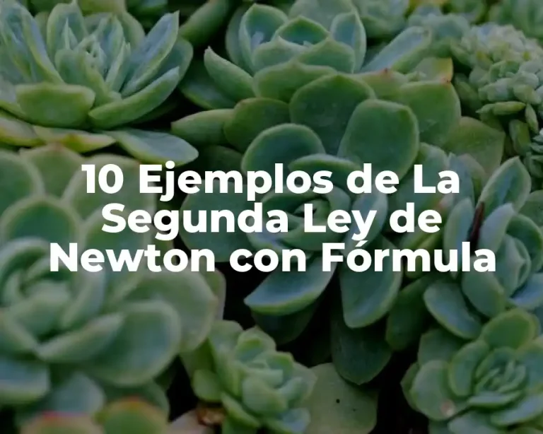 10 Ejemplos de La Segunda Ley de Newton con Fórmula