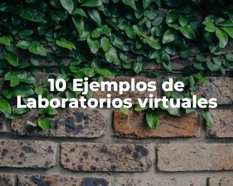 10 Ejemplos de Laboratorios virtuales