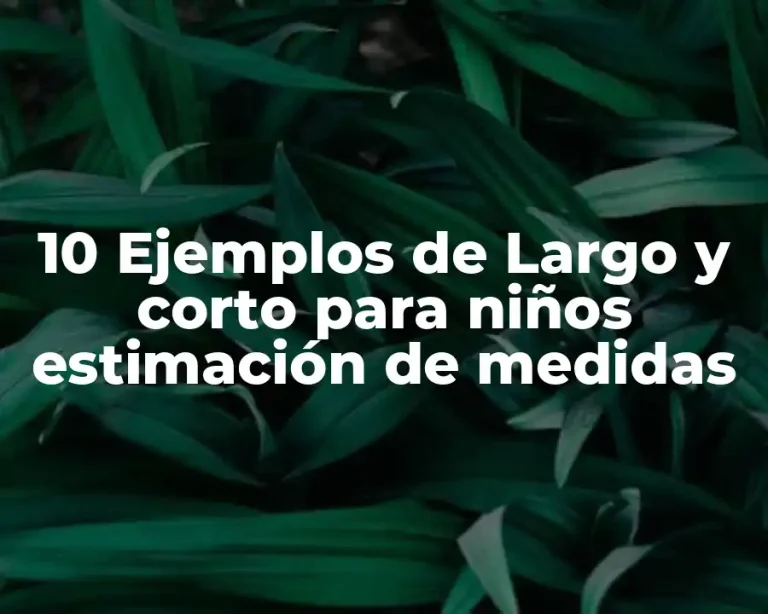 10 Ejemplos de Largo y corto para niños estimación de medidas