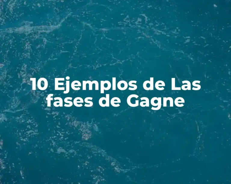 10 Ejemplos de Las fases de Gagne