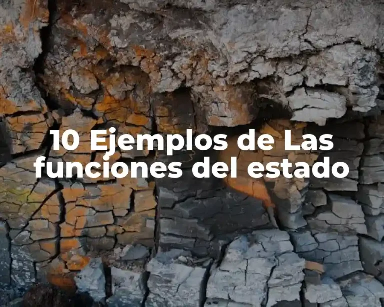 10 Ejemplos de Las funciones del estado
