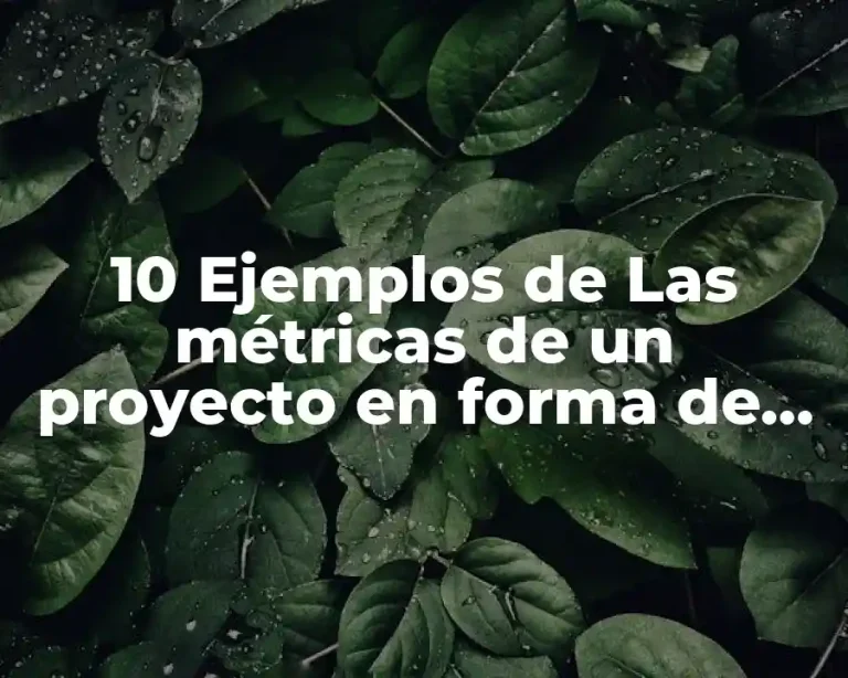 10 Ejemplos de Las métricas de un proyecto en forma de pescado