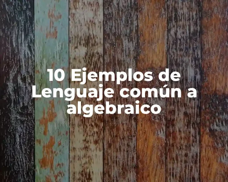 10 Ejemplos de Lenguaje común a algebraico