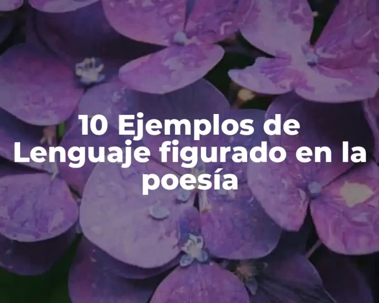 10 Ejemplos de Lenguaje figurado en la poesía