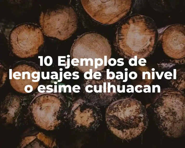 10 Ejemplos de lenguajes de bajo nivel o esime culhuacan