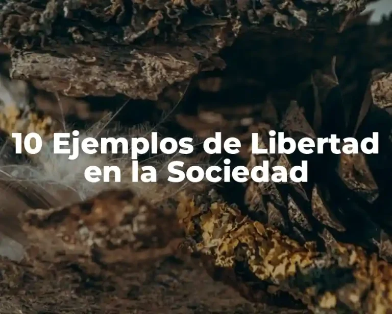 10 Ejemplos de Libertad en la Sociedad