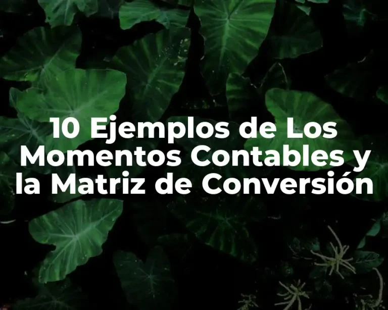 10 Ejemplos de Los Momentos Contables y la Matriz de Conversión