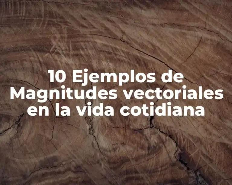 10 Ejemplos de Magnitudes vectoriales en la vida cotidiana