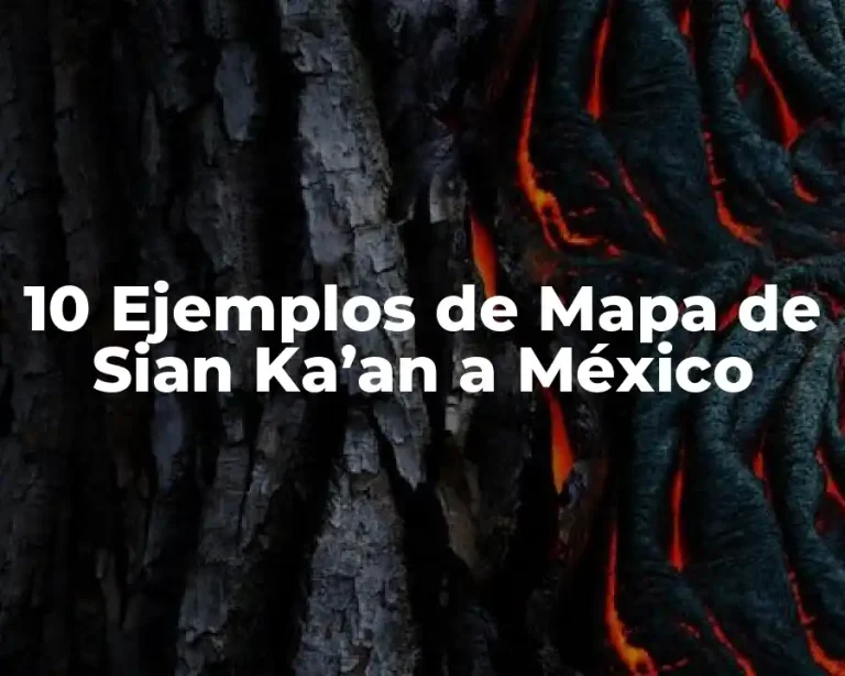 10 Ejemplos de Mapa de Sian Ka’an a México