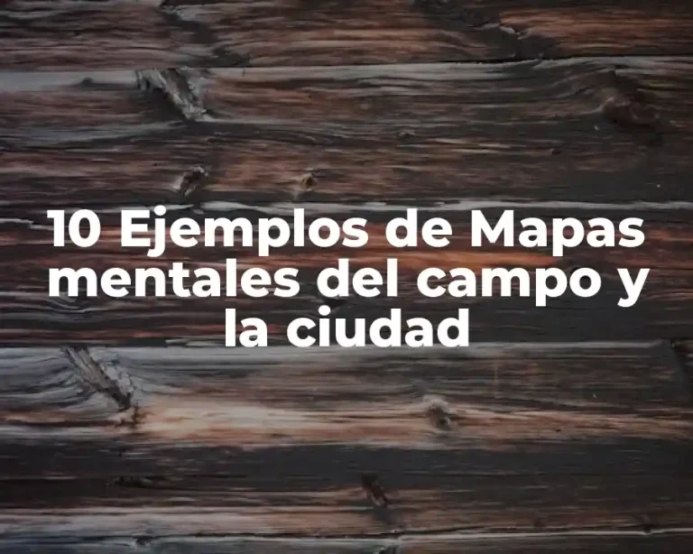 10 Ejemplos de Mapas mentales del campo y la ciudad