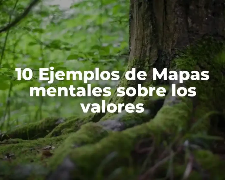 10 Ejemplos de Mapas mentales sobre los valores