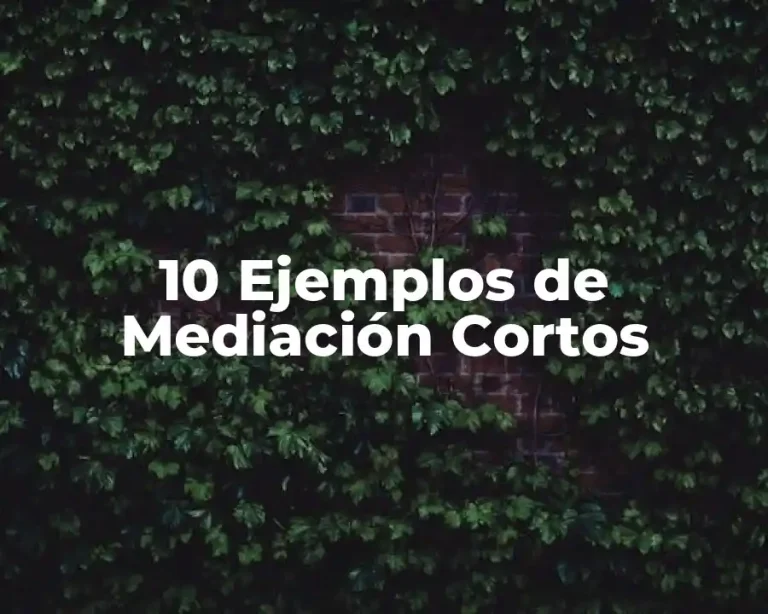 10 Ejemplos de Mediación Cortos