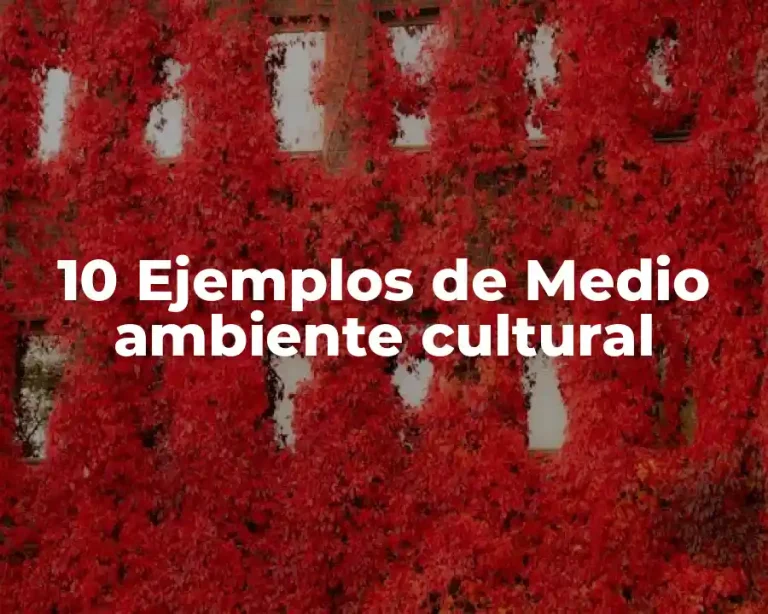 10 Ejemplos de Medio ambiente cultural
