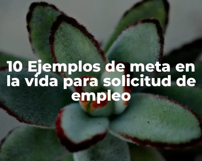10 Ejemplos de meta en la vida para solicitud de empleo