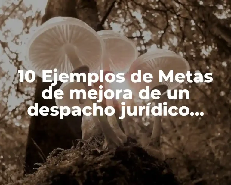 10 Ejemplos de Metas de mejora de un despacho jurídico, Definición, Diferencias y para que sirve