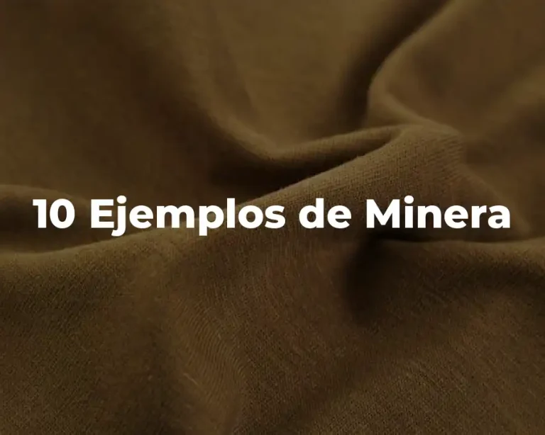 10 Ejemplos de Minera